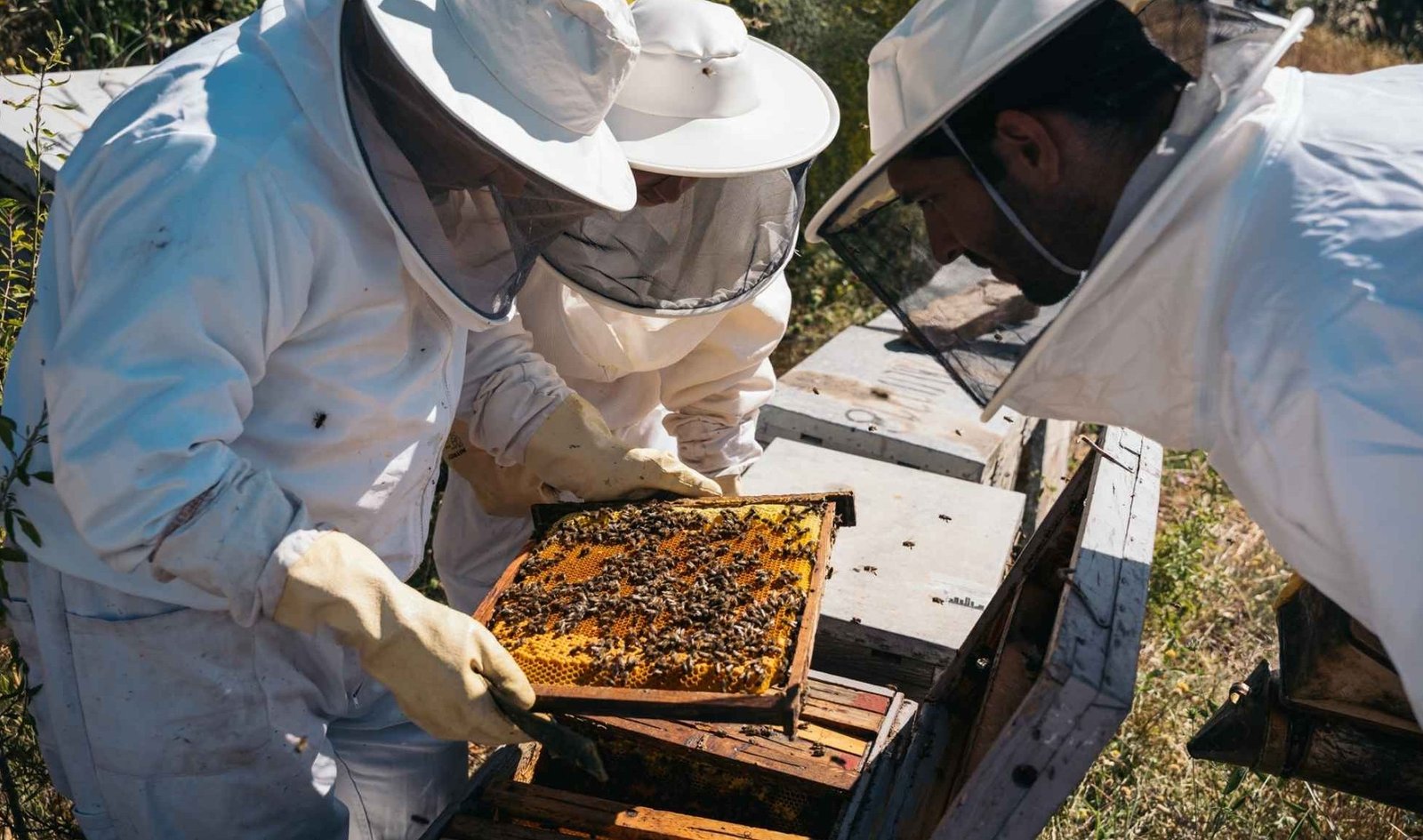 Familia apicultora en Jujuy de Corona Roja Miel