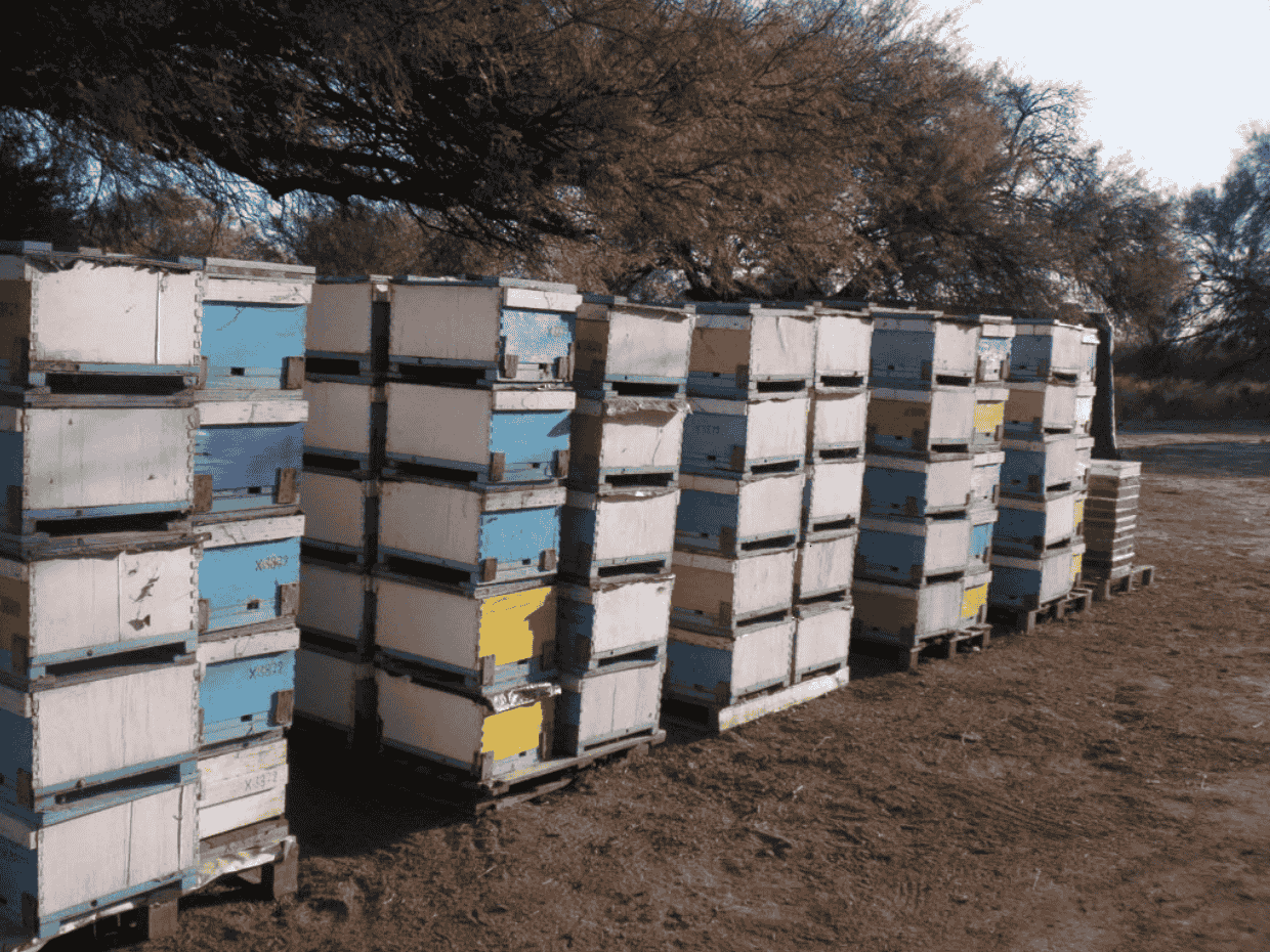 Compromiso ambiental de Corona Roja Miel