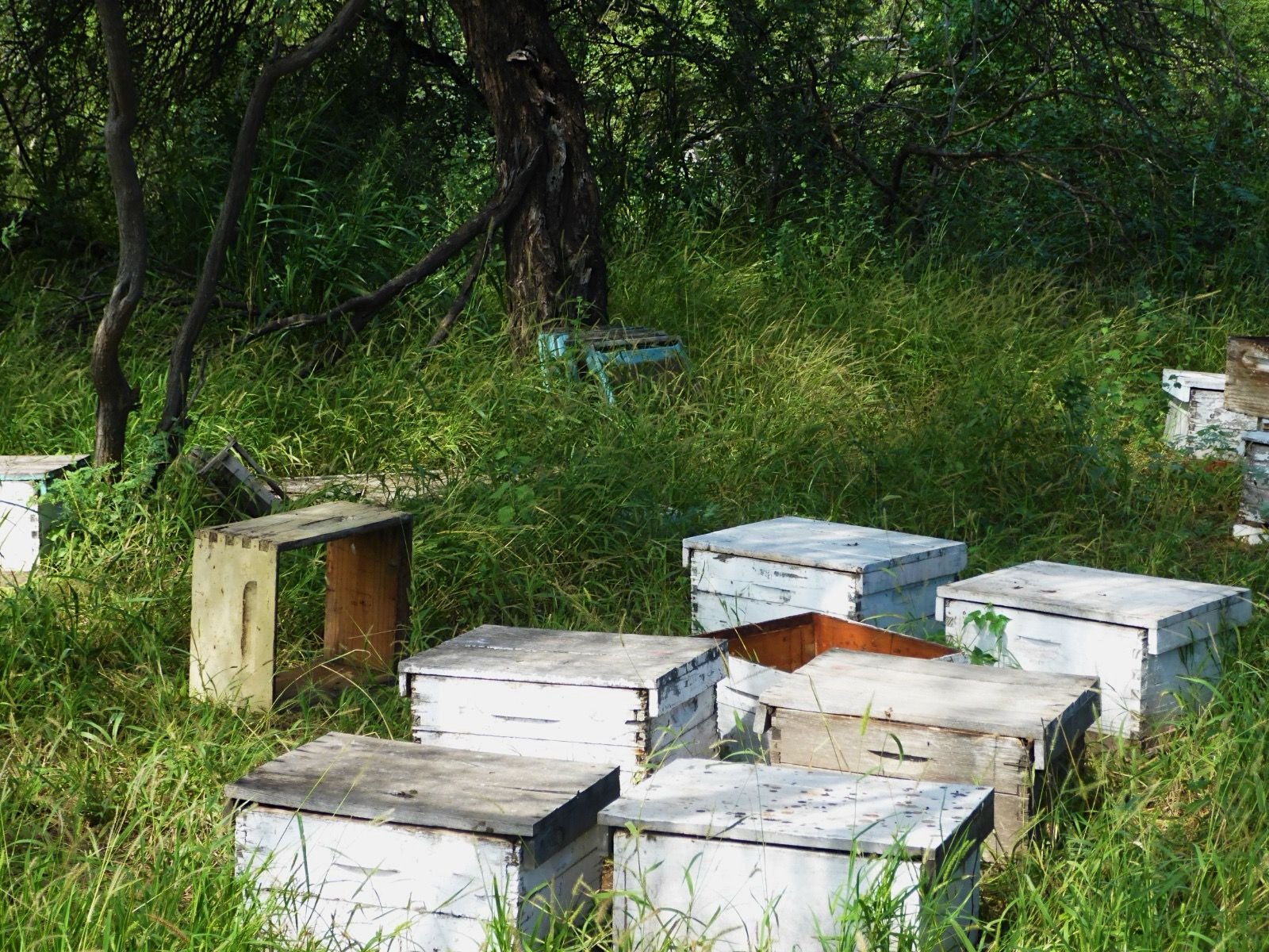 Nuestro lugar en cruz del Eje