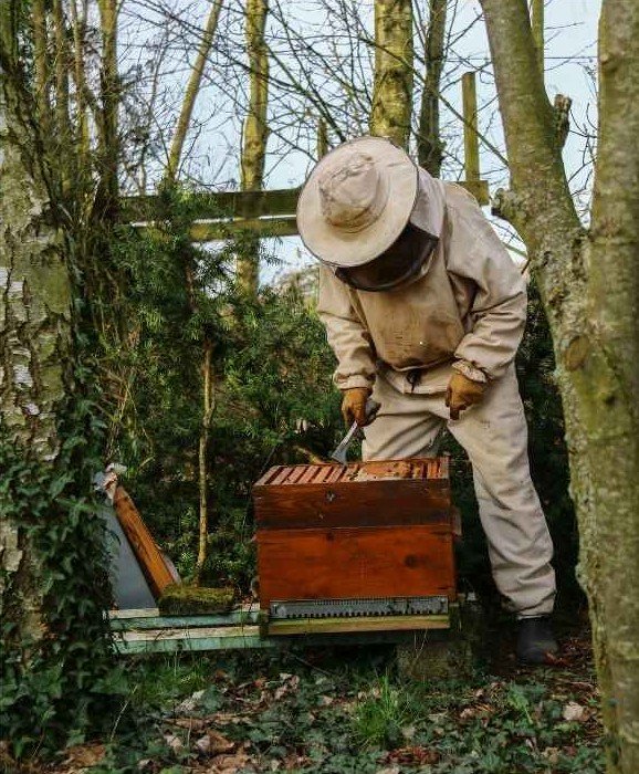 Imagen Corona Roja Nosotros 5