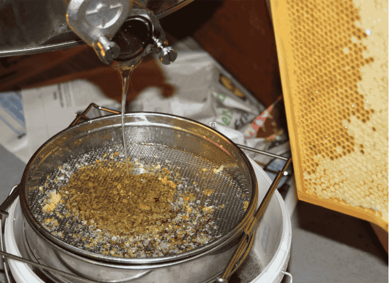 Extracción y filtrado